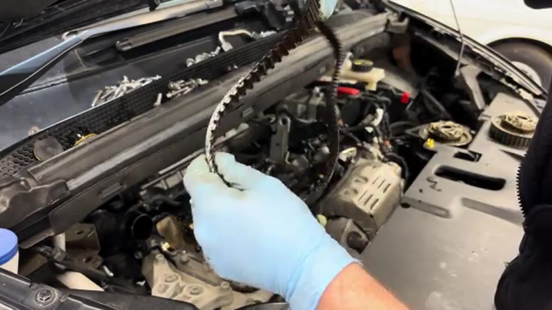 Inspecting the old cracked wet belt removed from the Citroen C4 PureTech