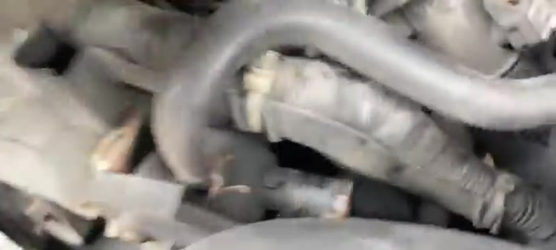 Releasing the coolant hose from the EGR valve before lifting it out of the engine bay